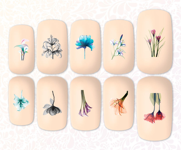 Нежность F-1720