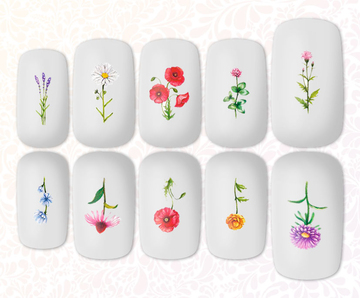 Полевые цветы F-1764